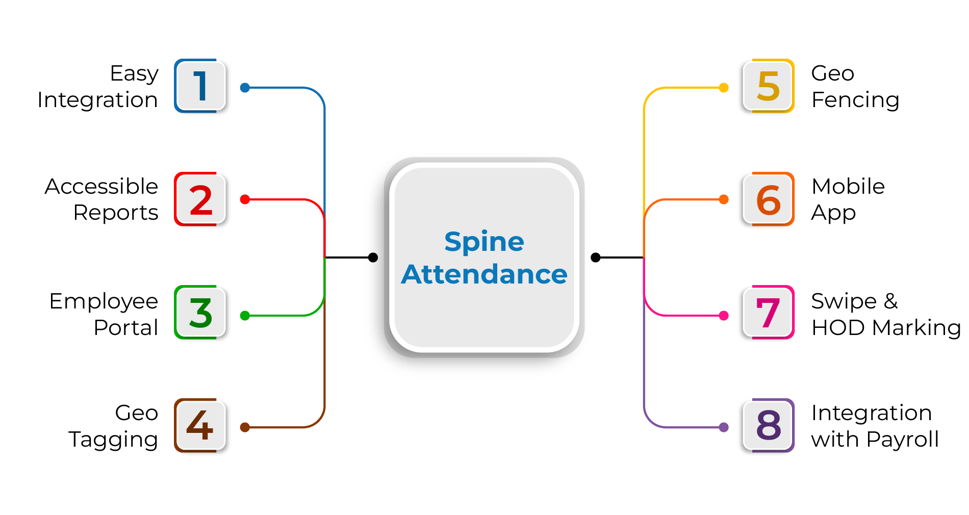 infographic for Spine Attendance module